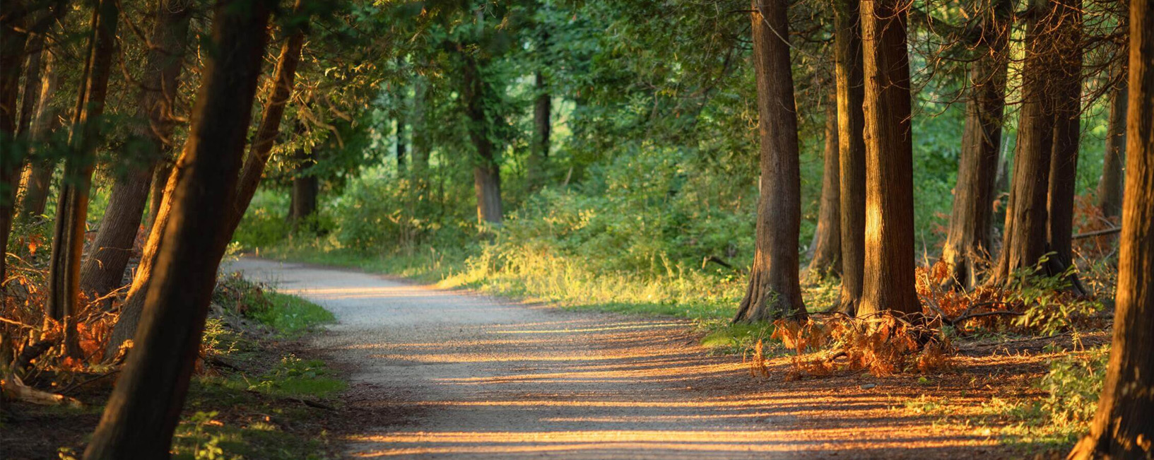 DalyLeach Memorial Chapel Hamilton MT funeral home and cremation