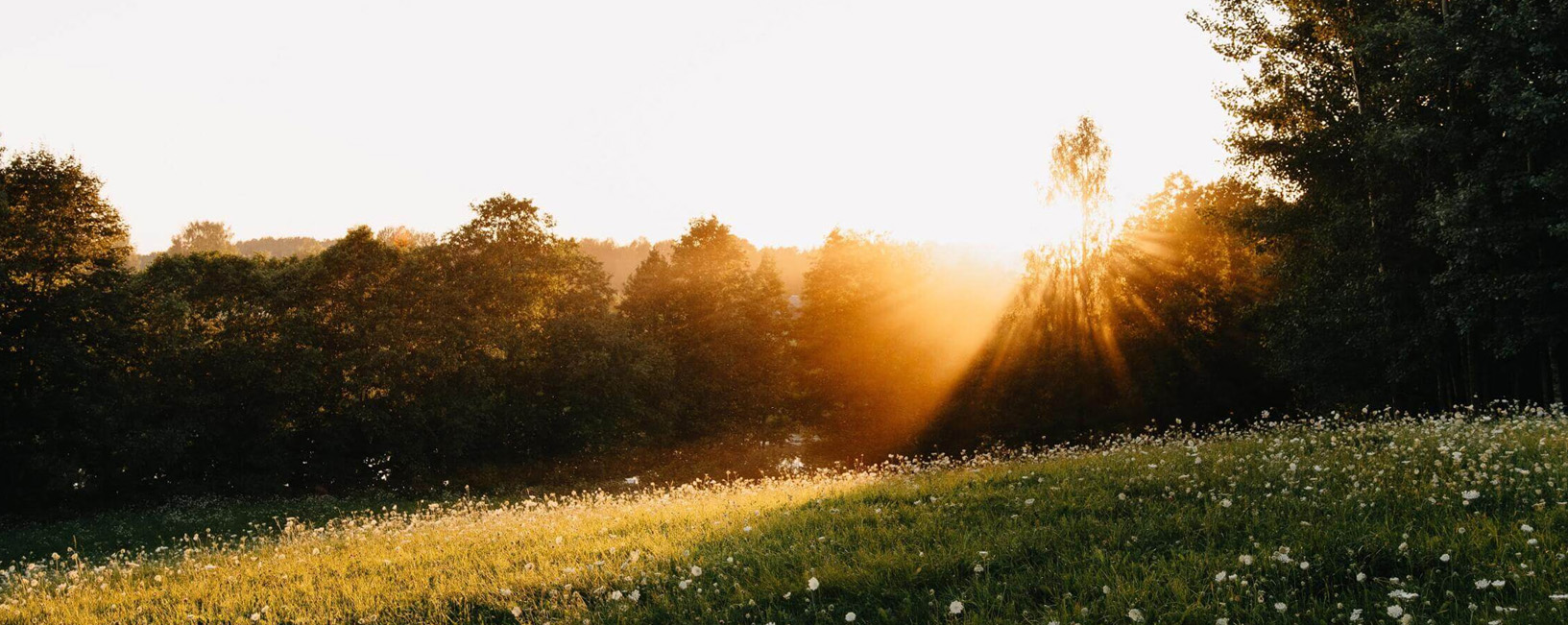 DalyLeach Memorial Chapel Hamilton MT funeral home and cremation