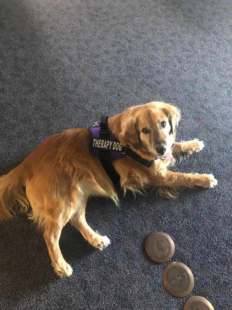 Why Choose Us Cole Funeral Home & Cremation Center Robesonia PA