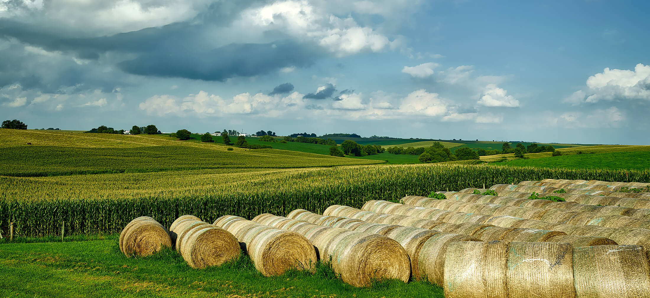 Foust Funeral Home Eagle Grove IA funeral home and cremation