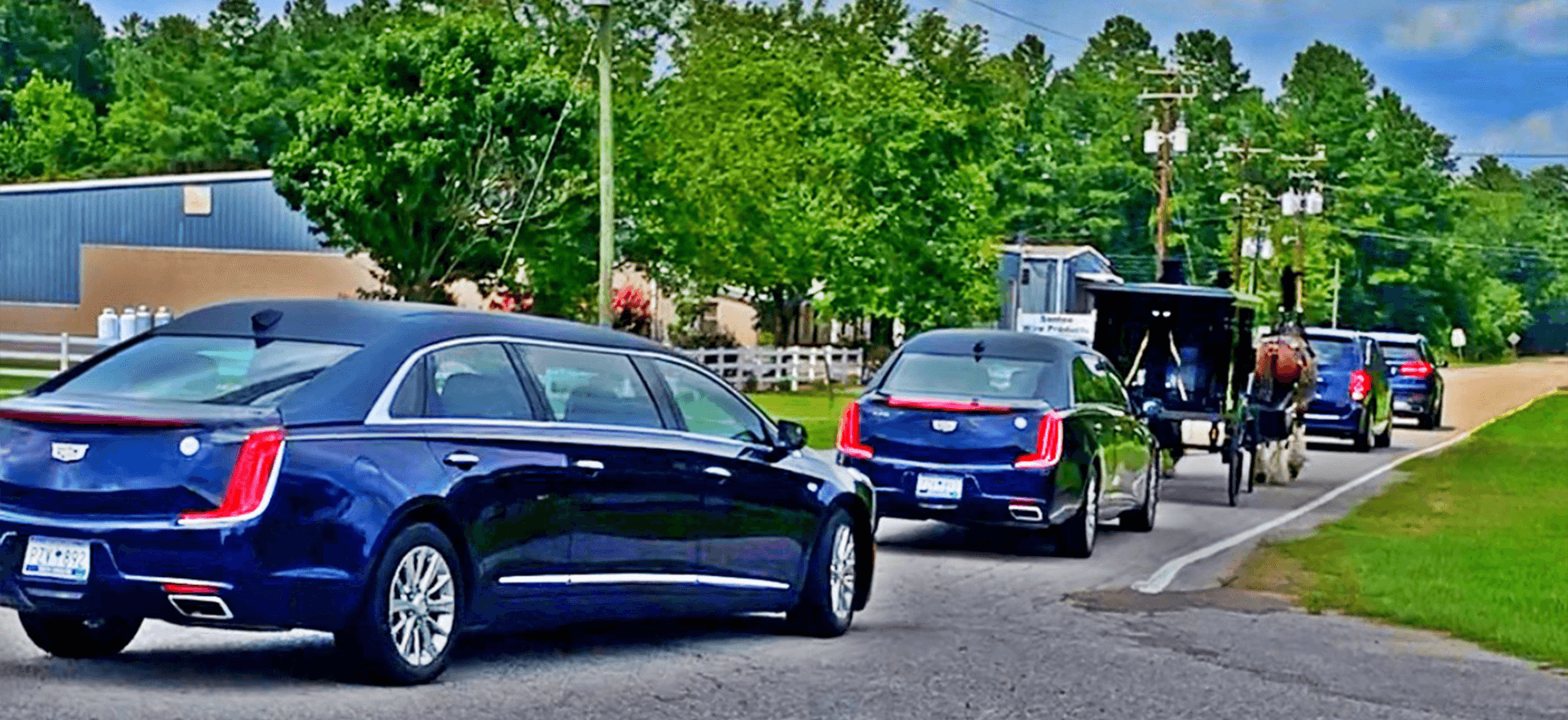 glover funeral home winnsboro sc Alane Bull