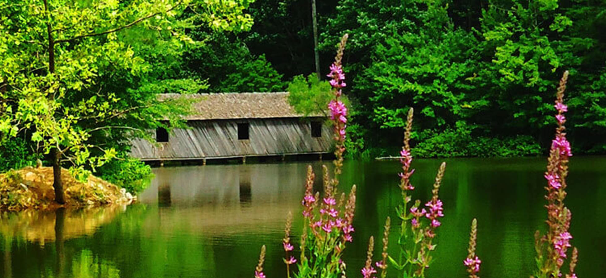 Henry Funeral Home, P.A. Cambridge MD funeral home and cremation