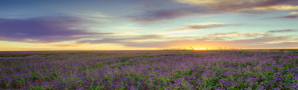 Holmgreen Mortuary Alice TX funeral home and cremation