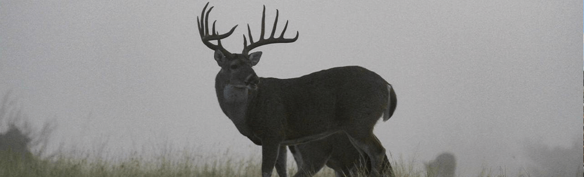 Holmgreen Mortuary Alice TX funeral home and cremation