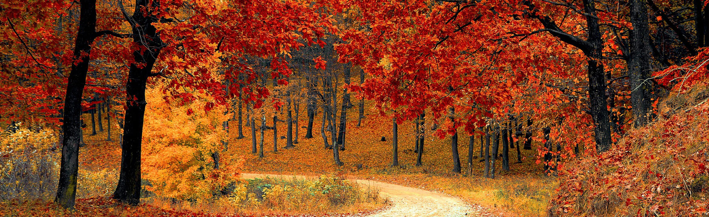 Jacobson Funeral Home L'Anse MI funeral home and cremation