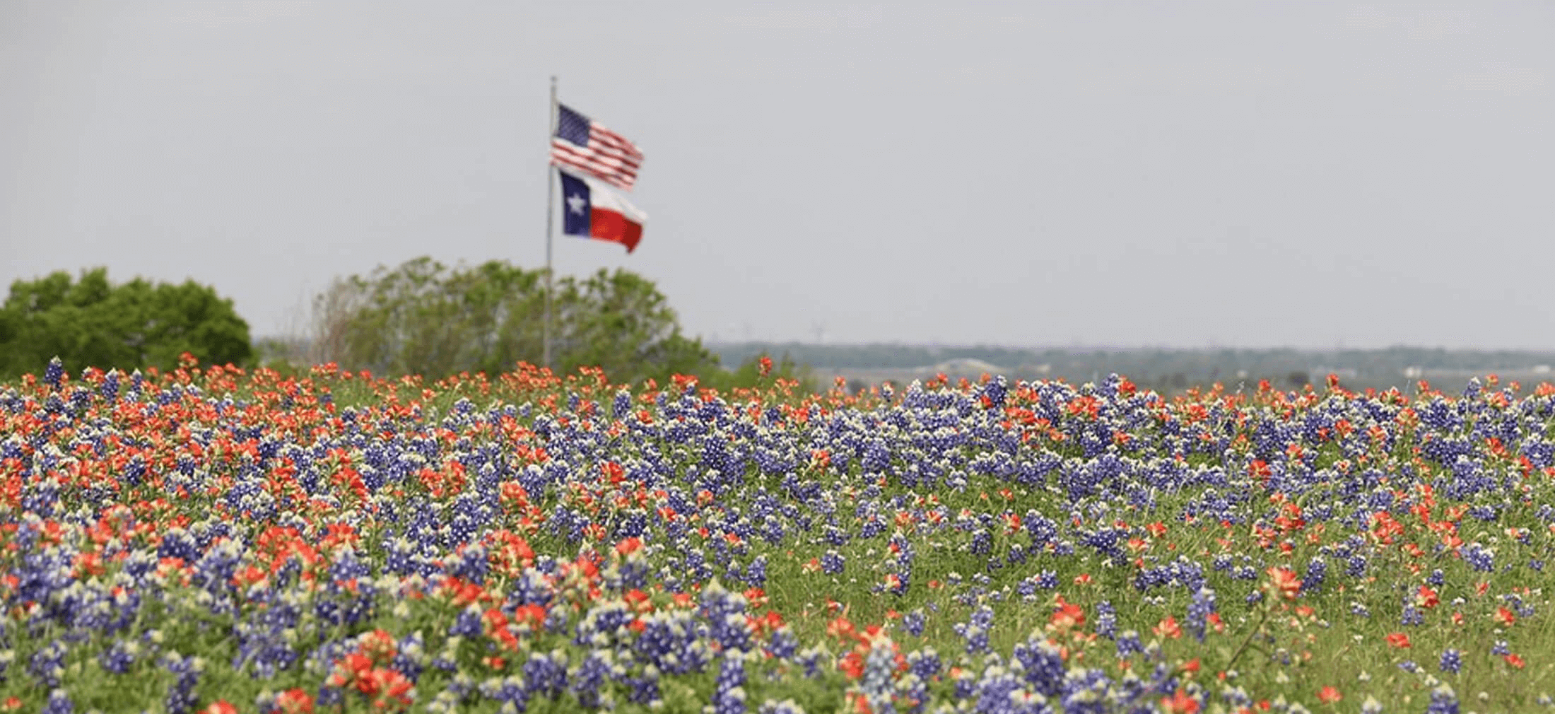 Lowe Funeral Home Quitman, TX funeral home and cremation