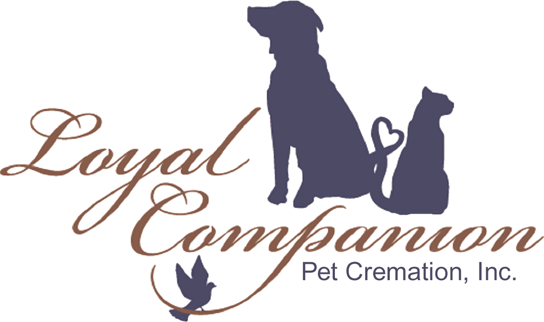 low cost pet cremation near me Thea Milton
