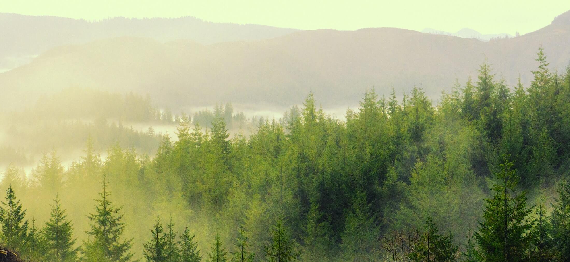 Mountain View Memorial Chapel Myrtle Creek OR funeral home and cremation