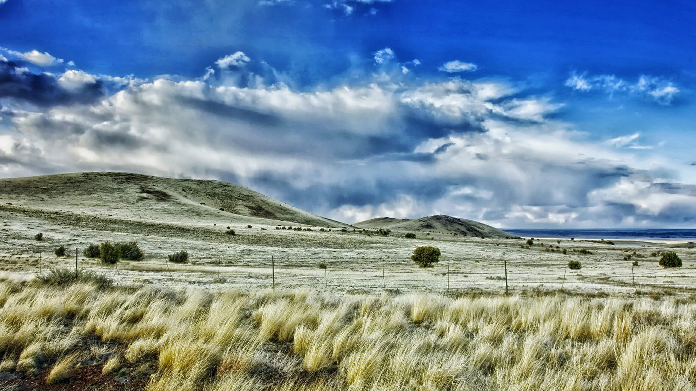 New Mexico Funeral Service Association Albuquerque NM