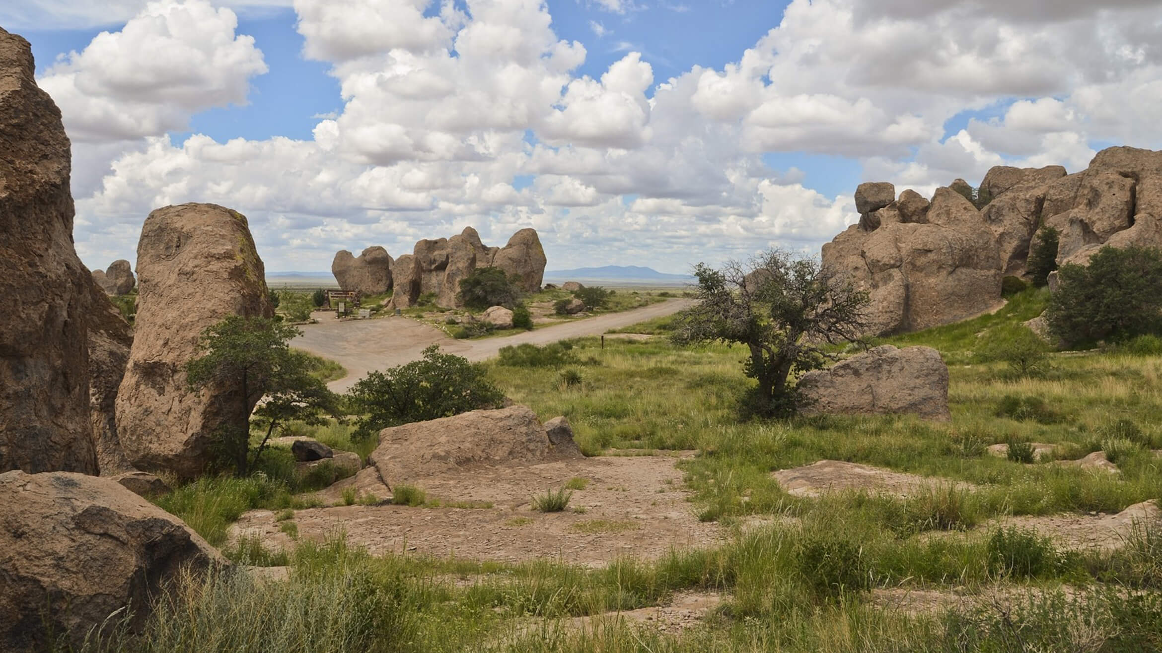 New Mexico Funeral Service Association Albuquerque NM