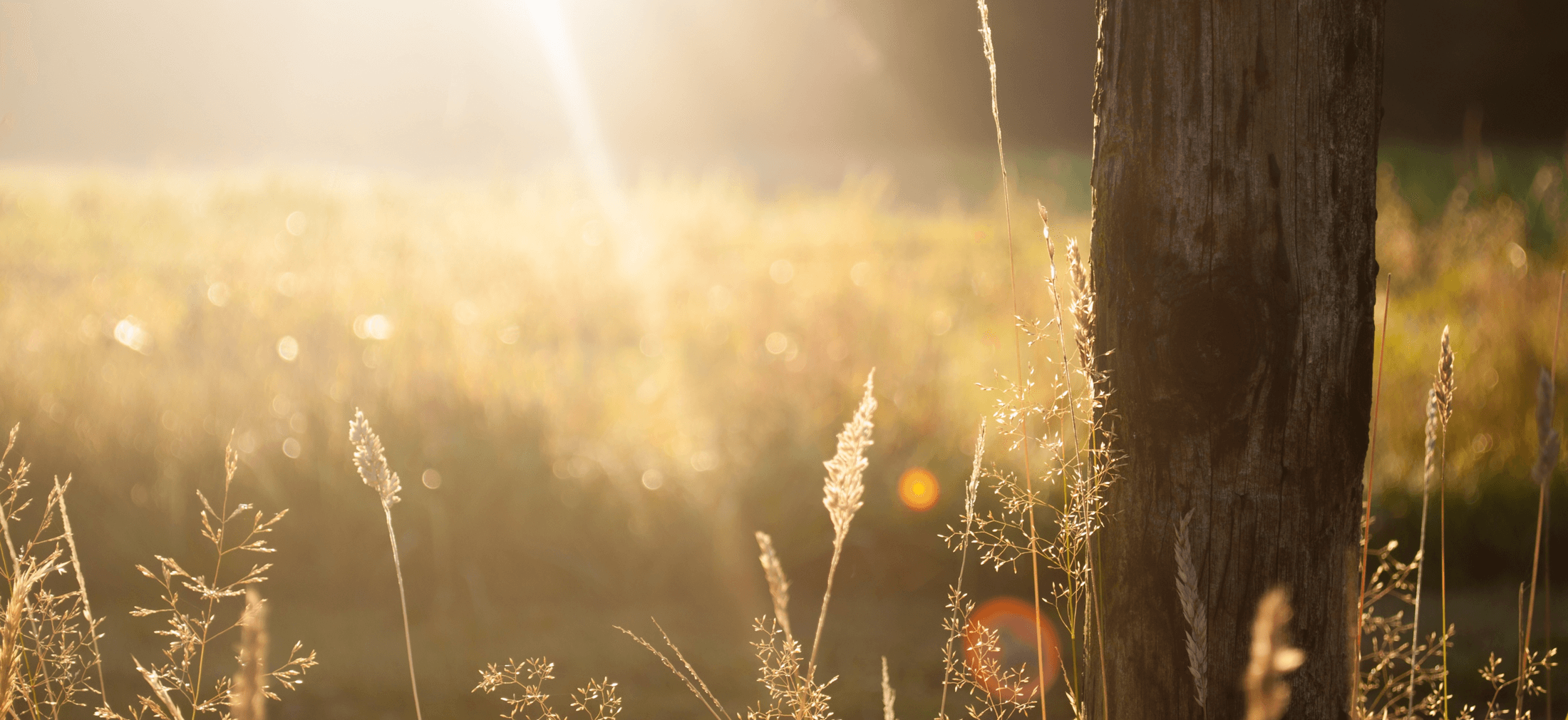 Turner Funeral home Hinton OK funeral home and cremation