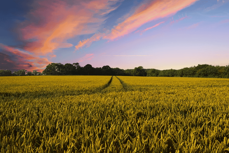 Carney Funeral Home Blytheville AR funeral home and cremation