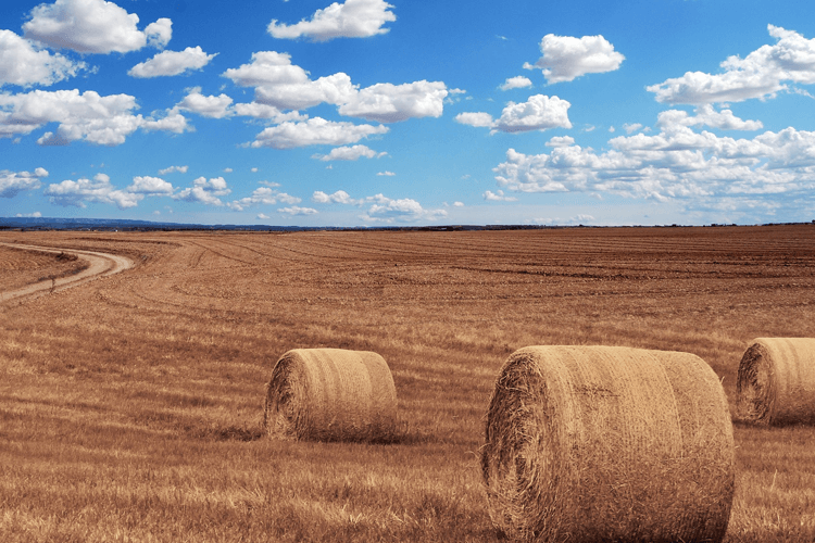 Holmes Memorial Chapel Sullivan IN funeral home and cremation