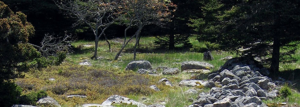 MacDonald Rockwell & MacDonald Watertown MA funeral home and cremation