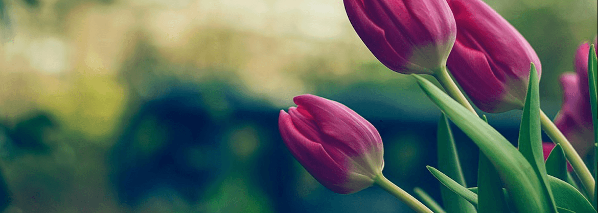 BaxterGardner Funeral Home Sherrodsville OH funeral home and cremation