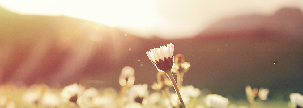 Sims Funeral Home Douglas GA funeral home and cremation