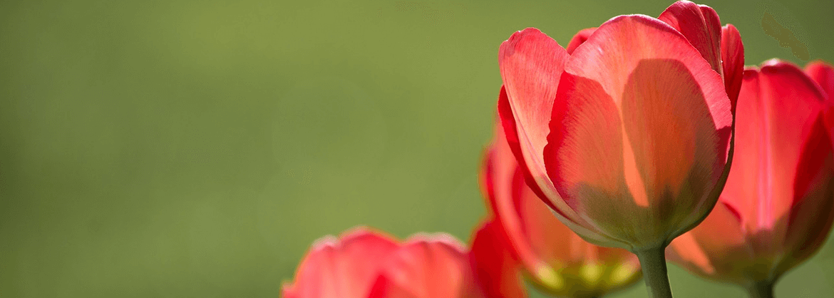 BaxterGardner Funeral Home Sherrodsville OH funeral home and cremation