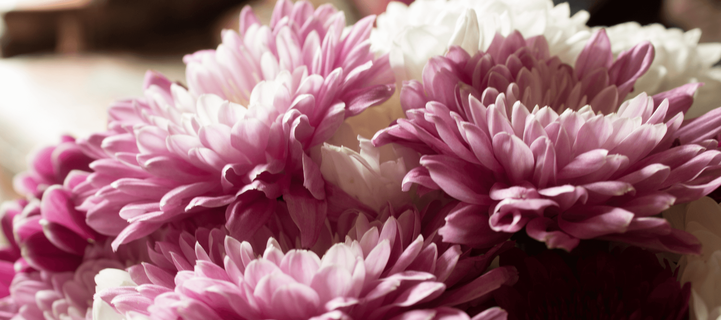 All Obituaries Clark Funeral Home, Inc. Kannapolis NC funeral home