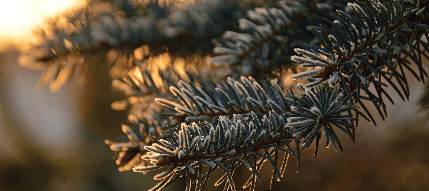 Kline Funeral Home Pine River MN funeral home and cremation