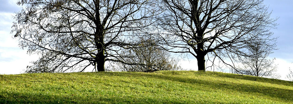 MacDonald Rockwell & MacDonald Watertown MA funeral home and cremation