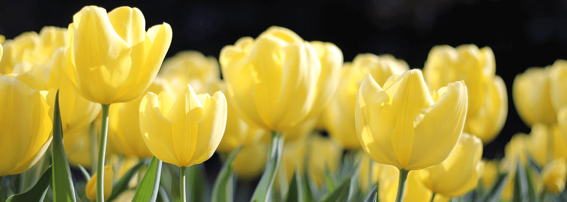 BaxterGardner Funeral Home Sherrodsville OH funeral home and cremation