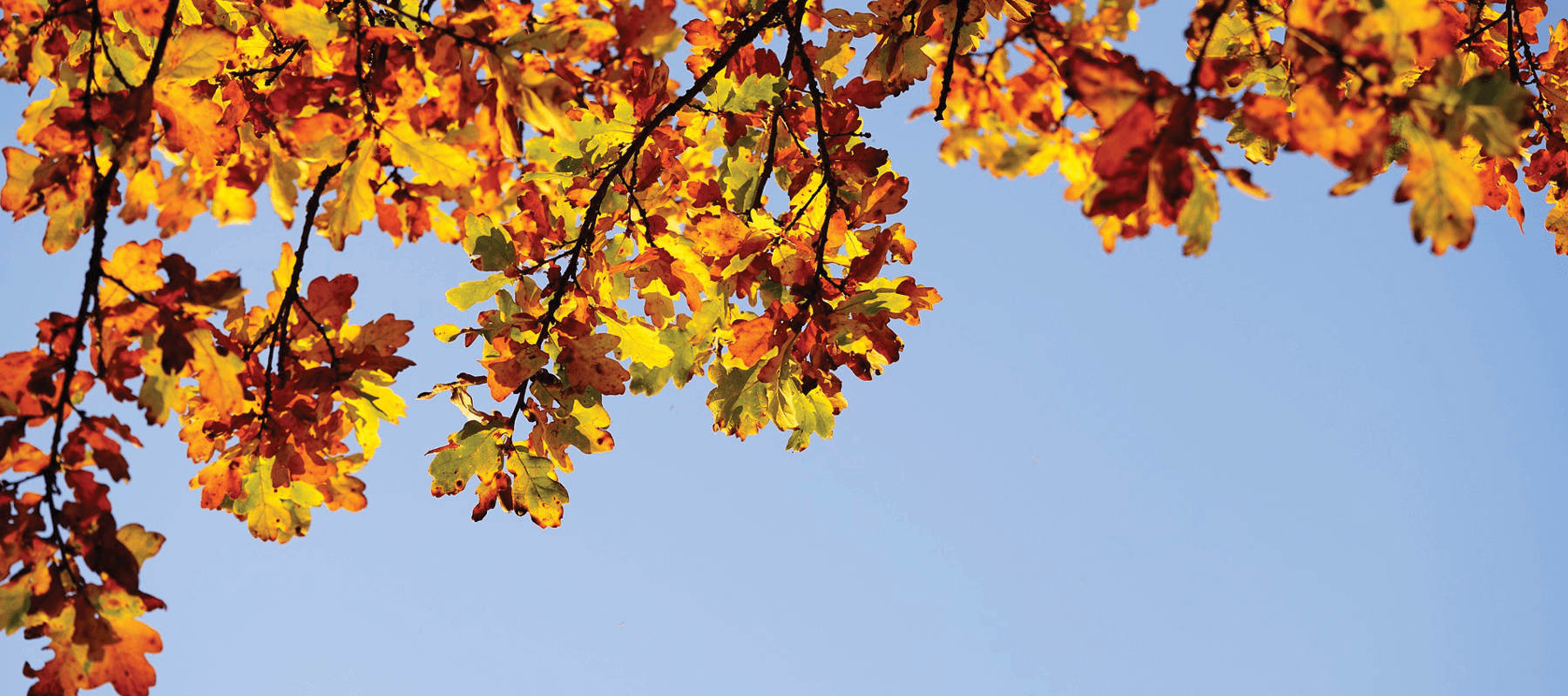 Kline Funeral Home Pine River MN funeral home and cremation