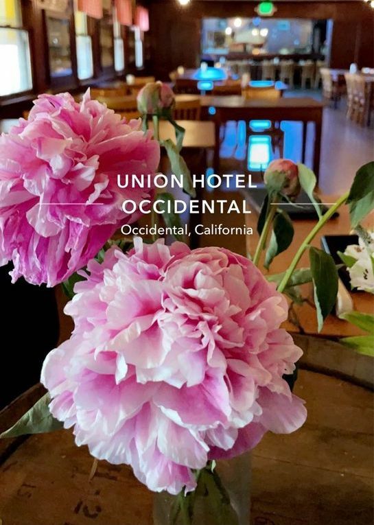 Occidental All Club Ride 38mi & 30 mi/all levels/2 (Lorraine, Gary Kern