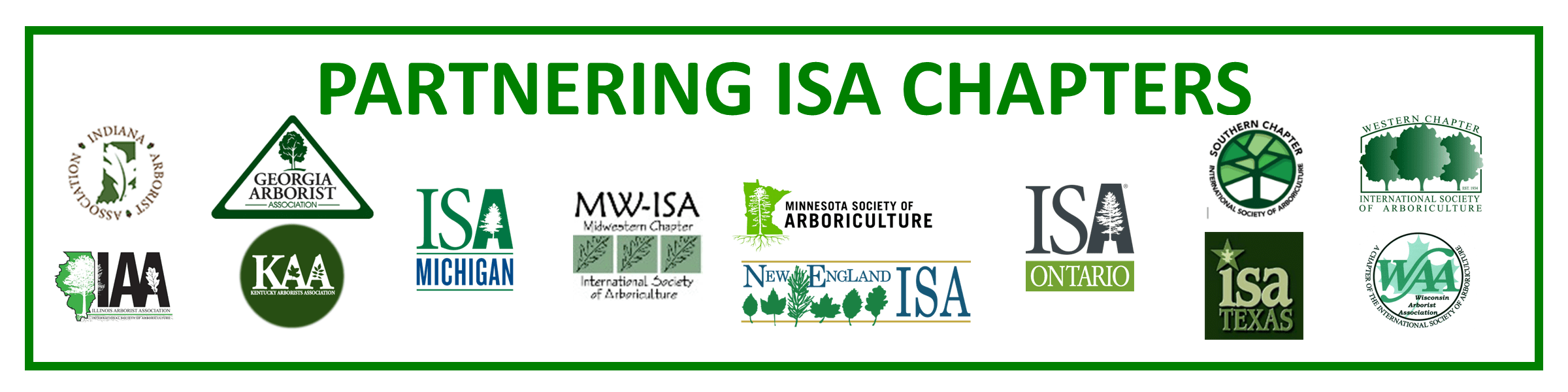 WEBINAR Combating Boring Insects in Trees Events ISA Michigan