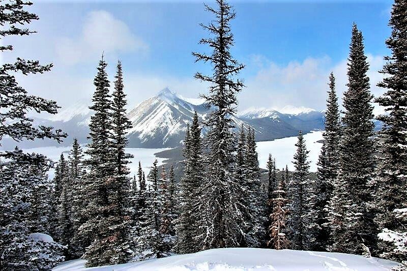 Valentine's Day Cross Country Skiing Blueberry Hill Via Elk Pass