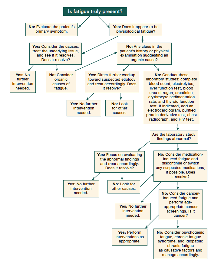 “Why Do I Always Feel Tired?” Evaluating Older Patients Reporting