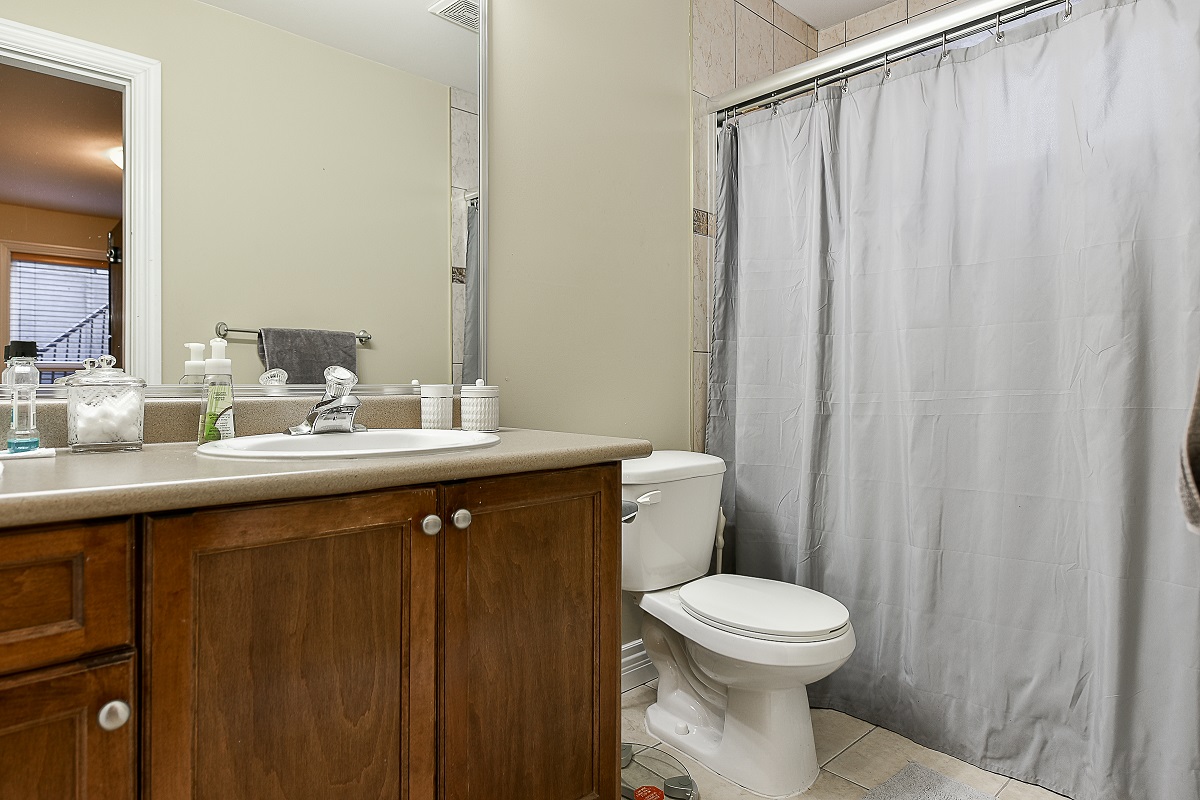 Huge One Bedroom Basement Suite for Rent