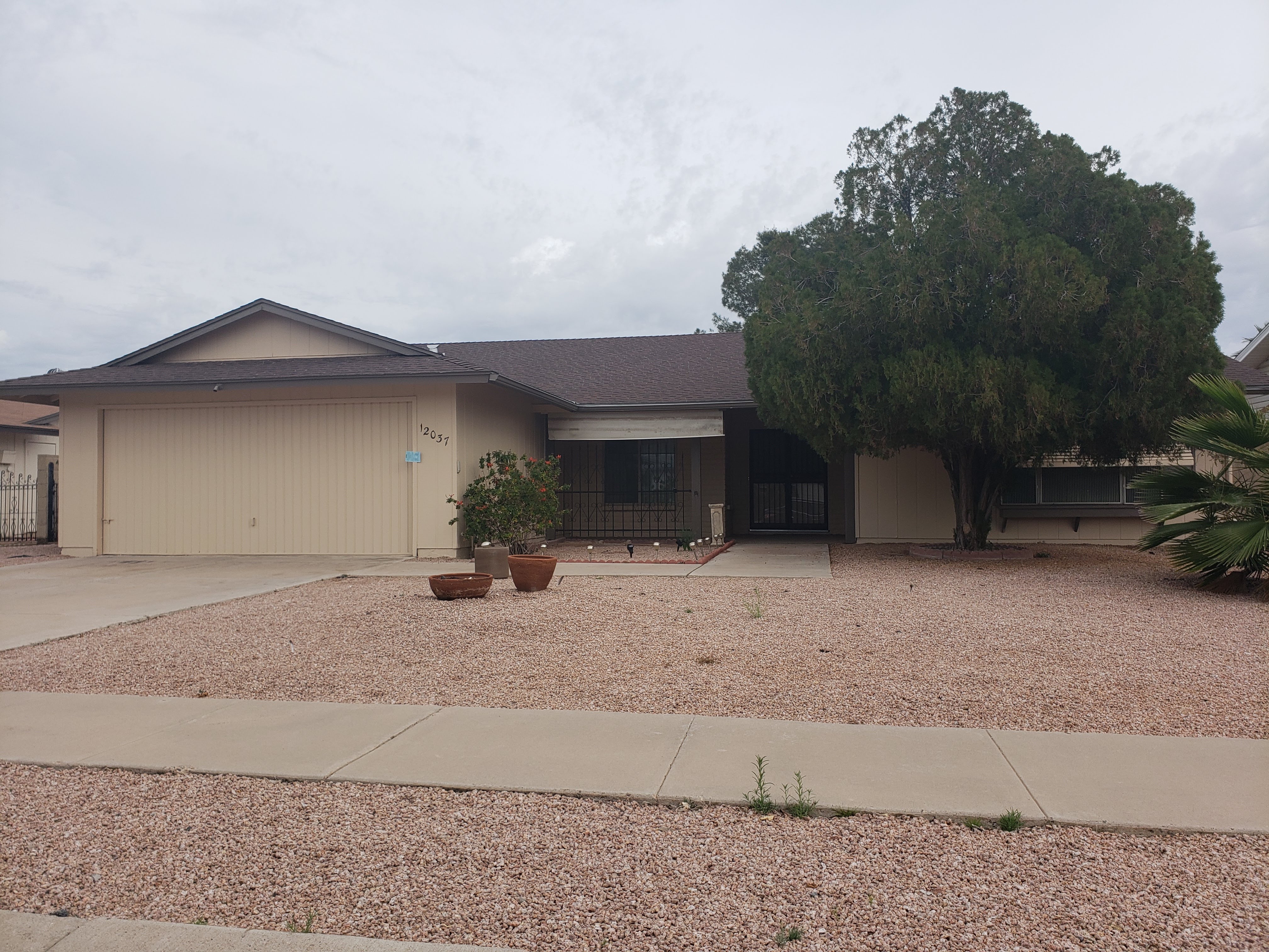 Prime 55 + in Heart of Ahwatukee