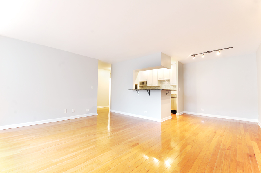 744 W Gordon Terrace 203, Chicago, IL 60613 Kass Management