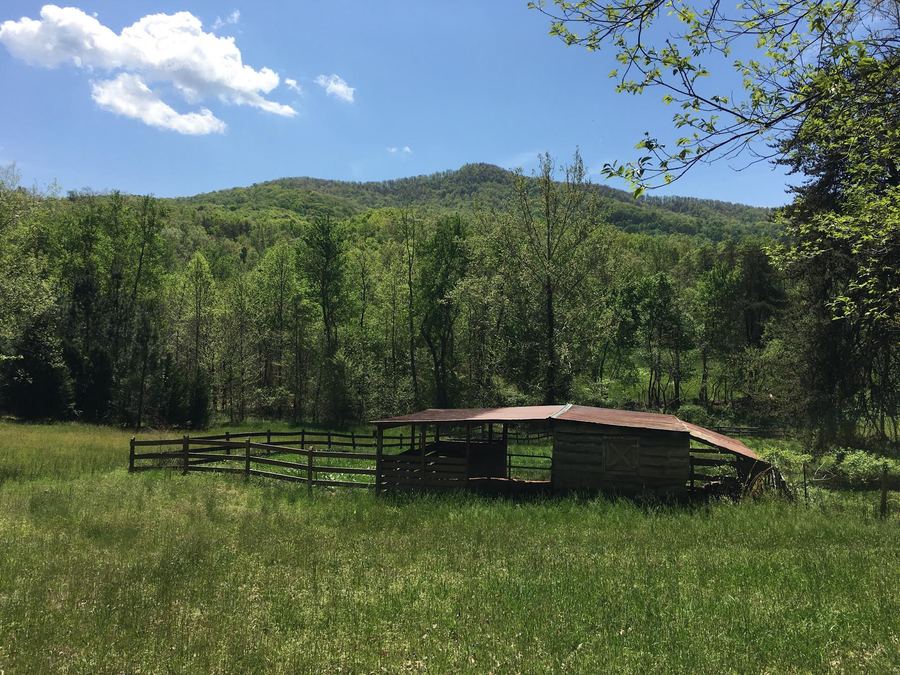 2249 Silver Creek Road, Mill Spring, NC 28756 RentWNC