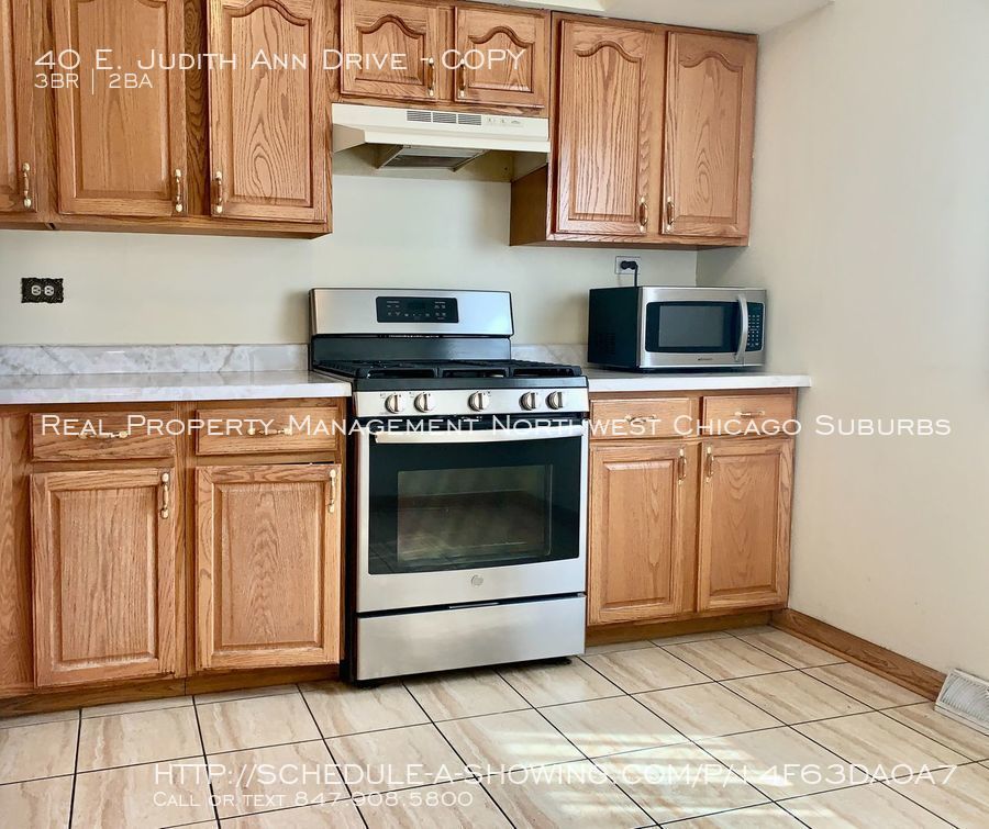 40 E. Judith Ann Drive COPY, Mount Prospect, IL 60056 Real Property