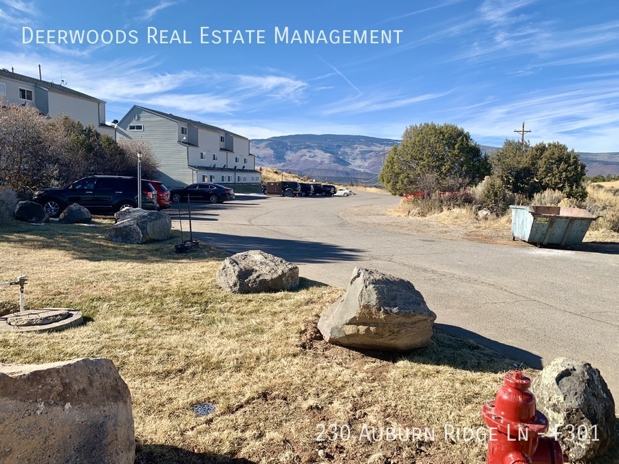 230 Auburn Ridge Ln F301, Glenwood Springs, CO 81601