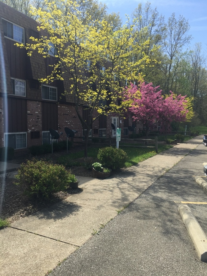 ShowMojo 4747 C4 Oberlin Ave., Lorain, OH 44053 TVP Realty