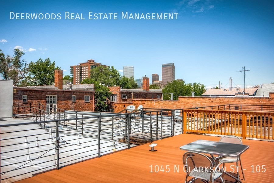 1045 N Clarkson St 105, Denver, CO 80218 Deerwoods Real Estate