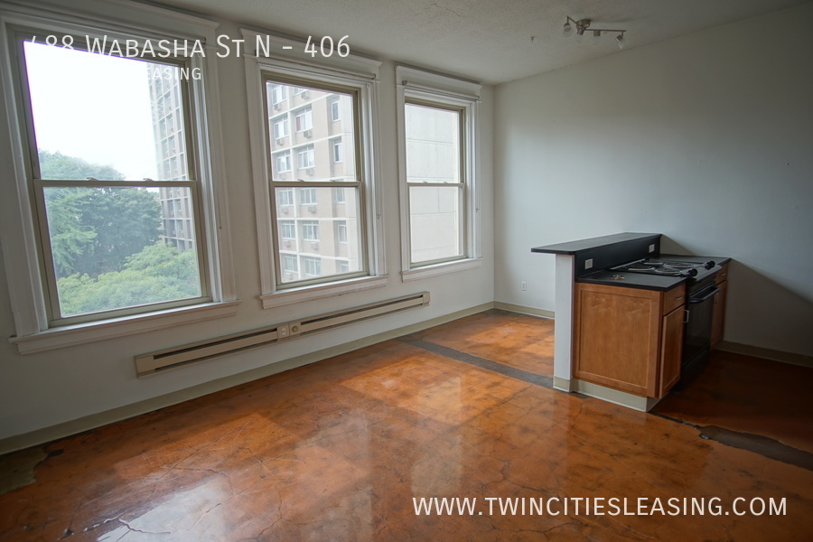 488 Wabasha St N 406, Saint Paul, MN 55102 Twin Cities Leasing