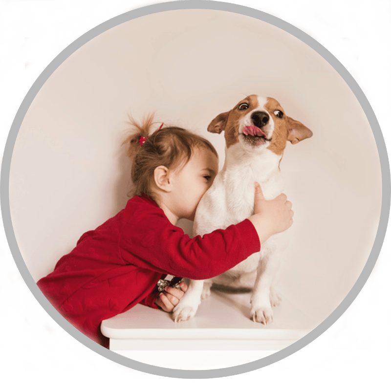 5 WAYS YOU MAY BE PUTTING YOUR KIDS IN DANGER AROUND DOGS The Family Dog