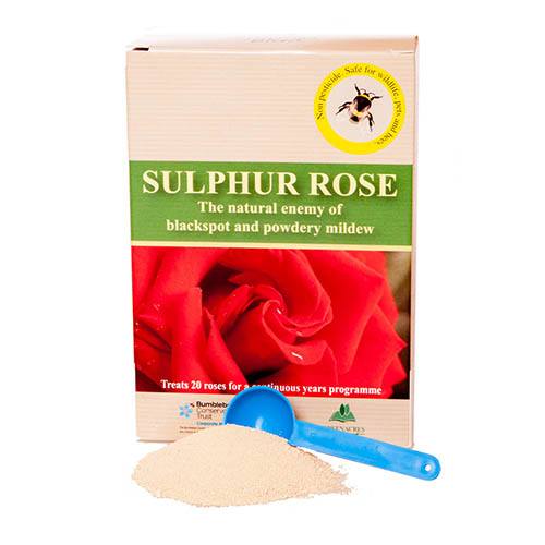 Sulphur Rose Tonic 250g Pack YouGarden