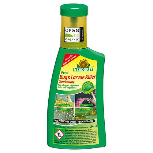 Bug Free Bug and Larvae Killer 250ml Concentrate YouGarden