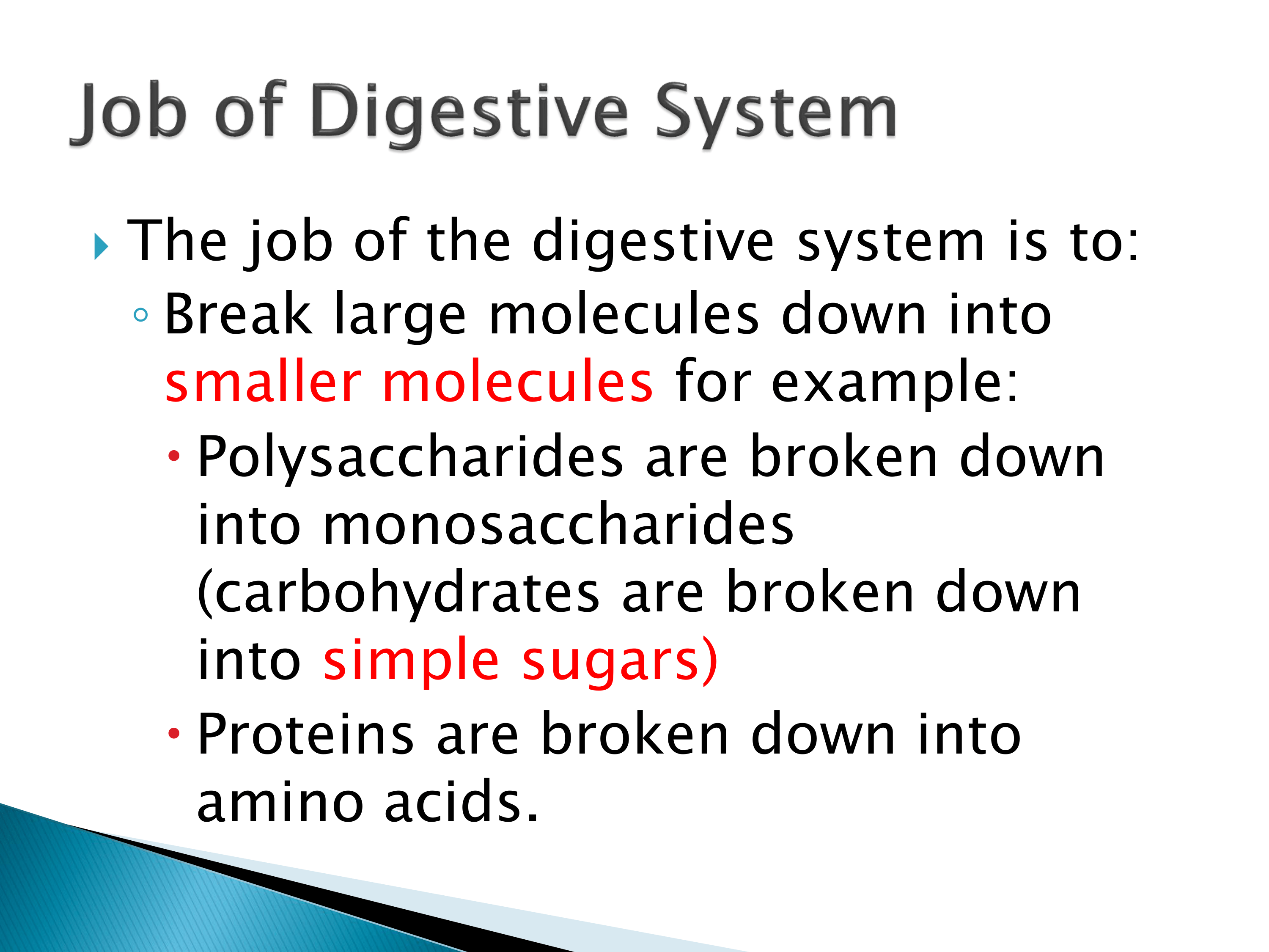 Physical and Chemical Changes in Digestion Kate Rodriguez Library