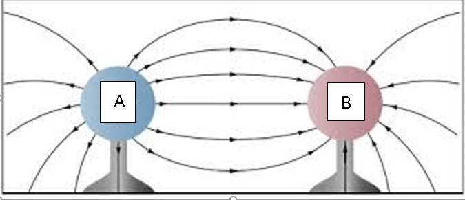 S3 Electricity - Graham Case | Library | Formative