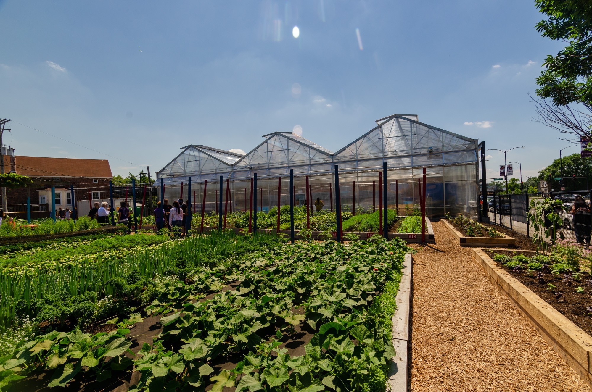BehindtheScenes Farm on Ogden Events Chicago Architecture Center