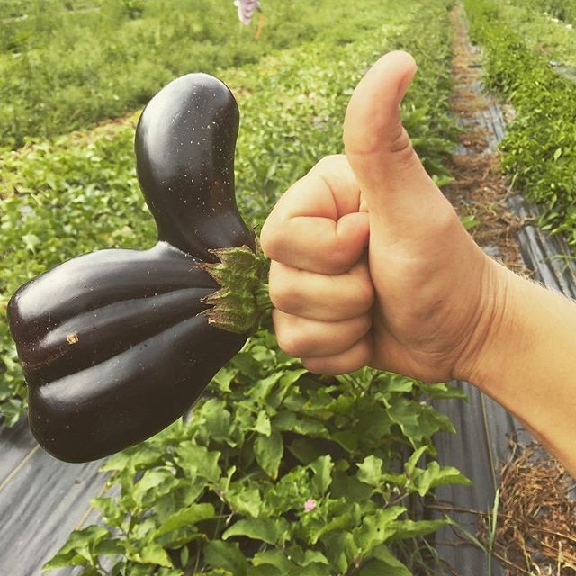 15 Almost Humanshaped Vegetables & Fruits AsViral