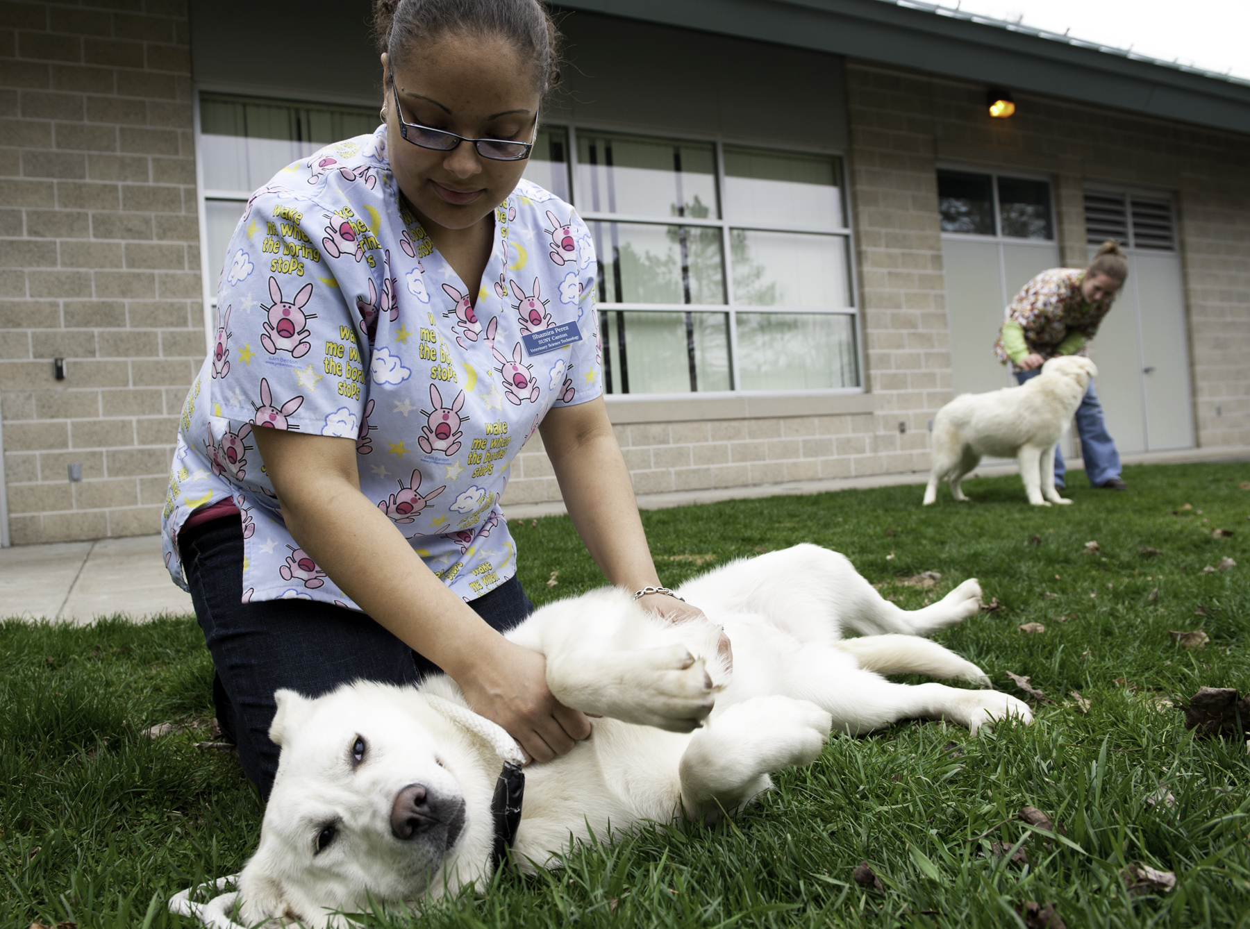 SUNY Canton Adds FourYear Veterinary Technology Degree