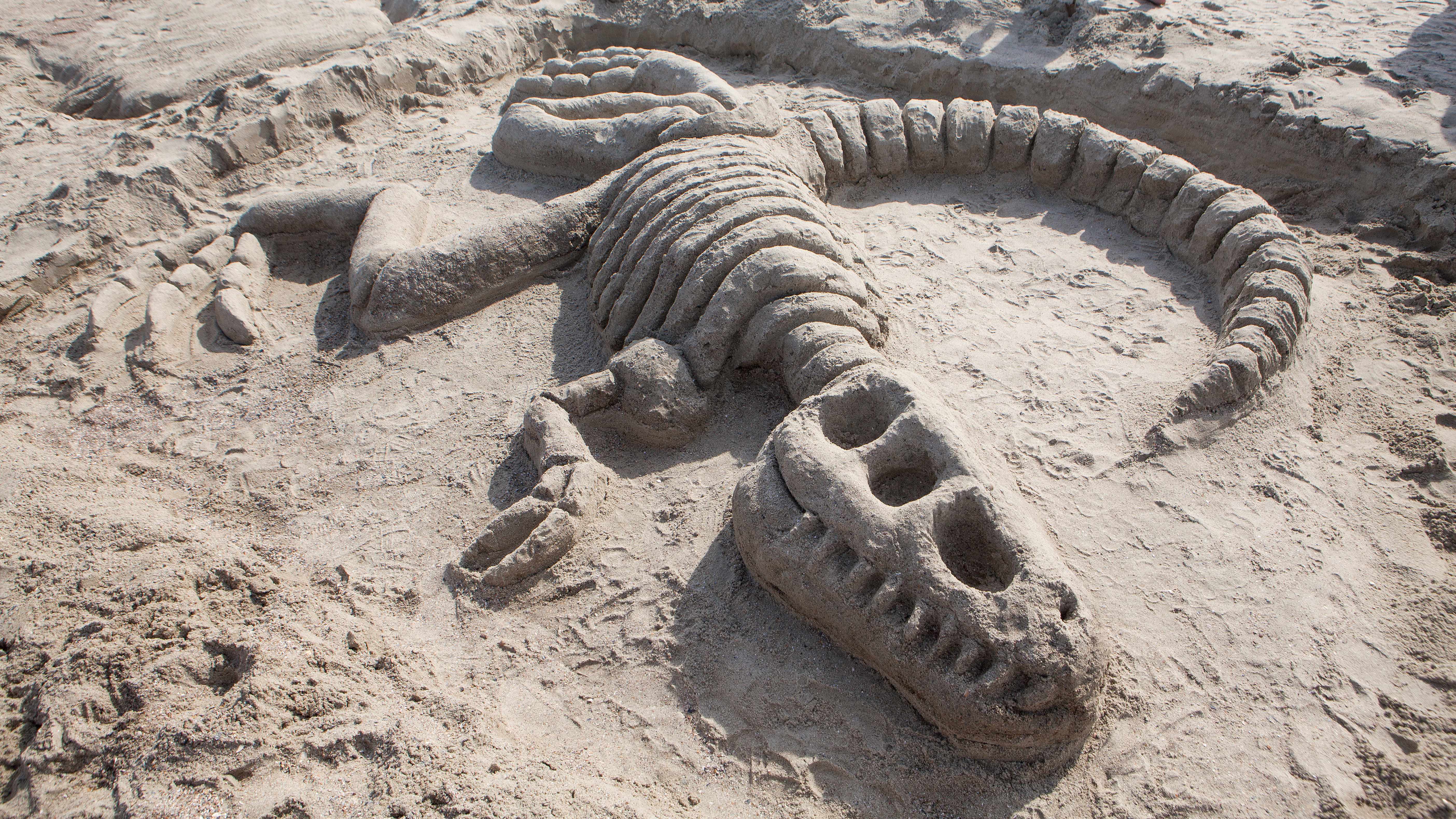 Denver, Colorado native wins honors in SCAD Sand Arts Festival