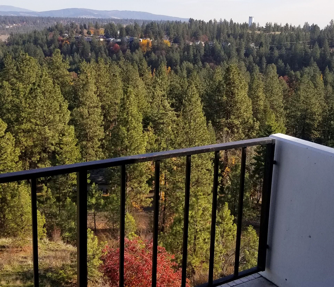 Online Auction Condo Unit 1311 S. Westcliff Place, Unit 603, Spokane