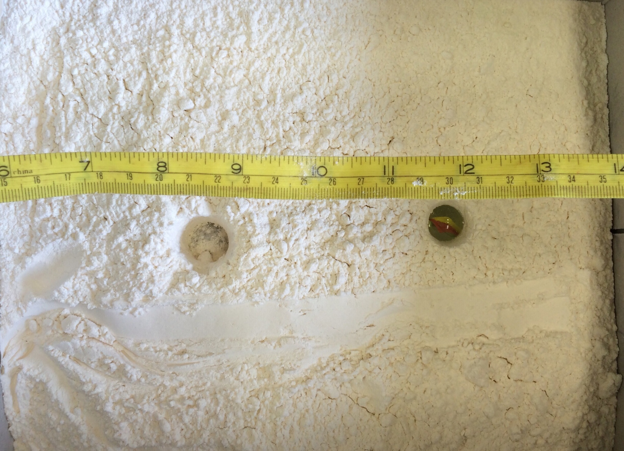 Lesson and Potential Energy Lab Rotation BetterLesson